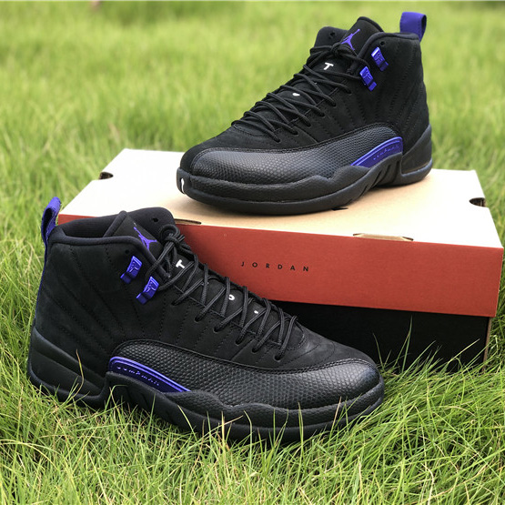 Jordan AJ12 "Dark Concord" CT8013-005 - everydesigner