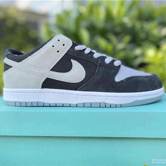 Nike SB Dunk Low PRO Sneakers 854866-001 - everydesigner