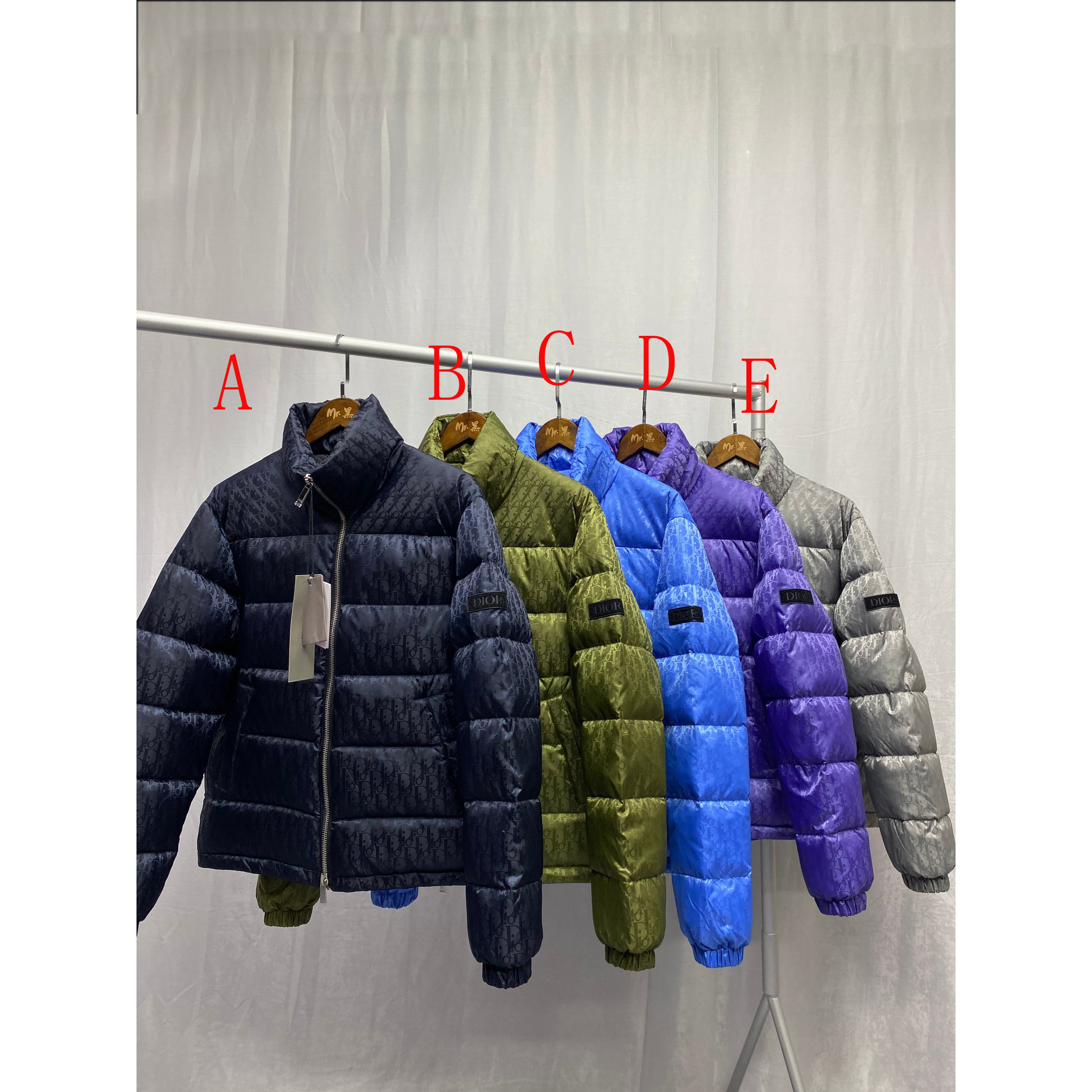 Dior  Oblique Down Jacket  - everydesigner