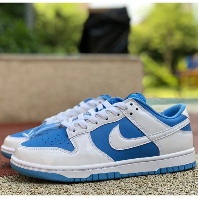 Nike Dunk Low Sneaker     DJ9955-101 - everydesigner