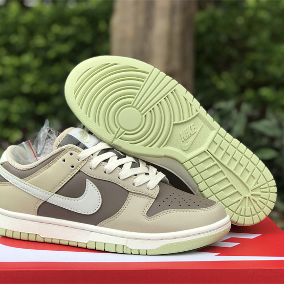 Nike Wmne SB Dunk Low"Brown/Mocha" Sneaker     FB4961-012  - everydesigner