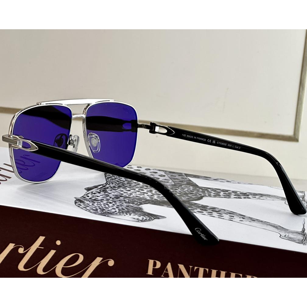 Cartier Core Range Sunglasses    CT0365S - everydesigner