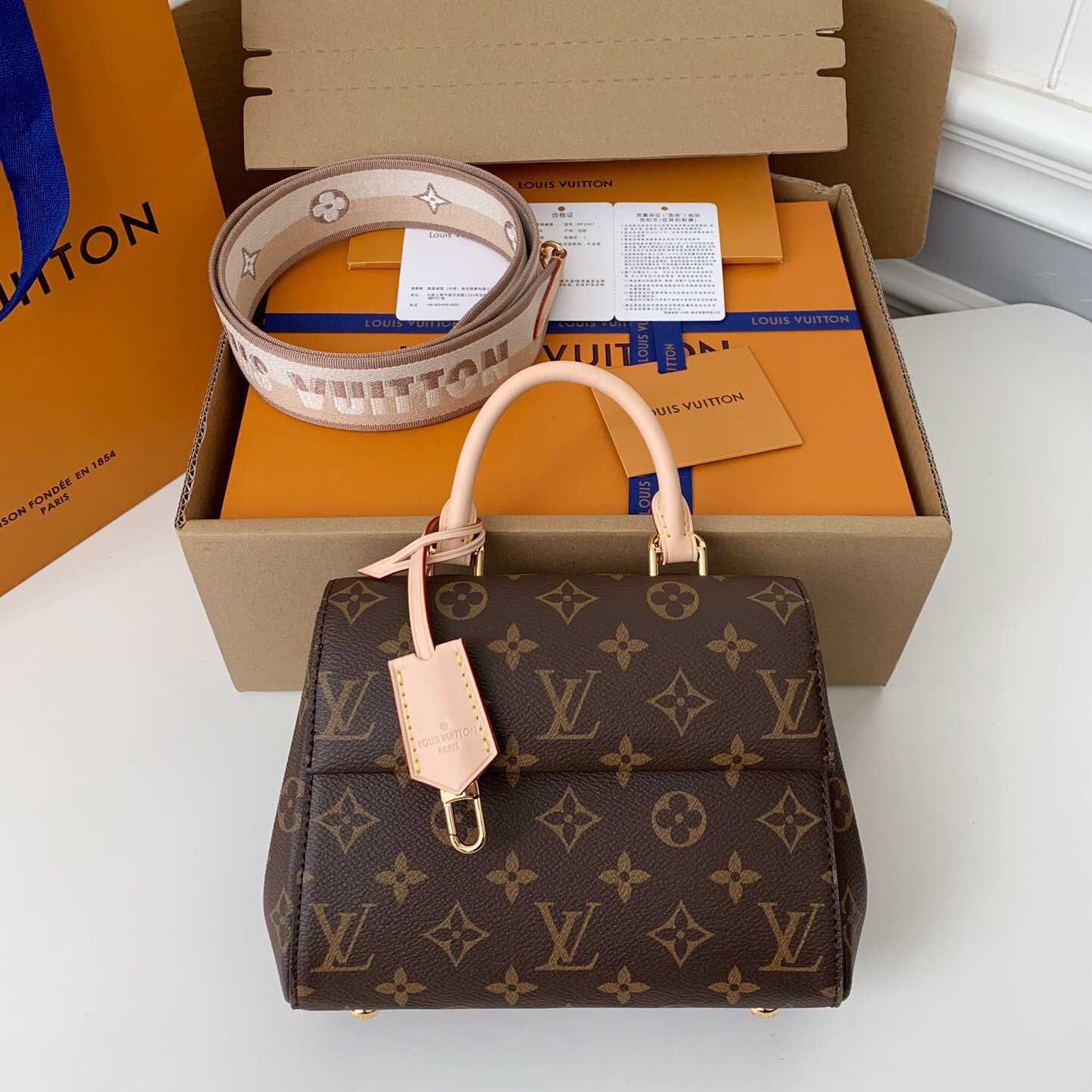 Louis Vuitton Cluny Mini Handbag  (20*16*7.5cm)    M46055 - everydesigner