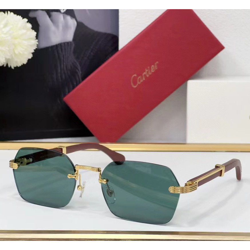 Cartier Sunglasses     - everydesigner