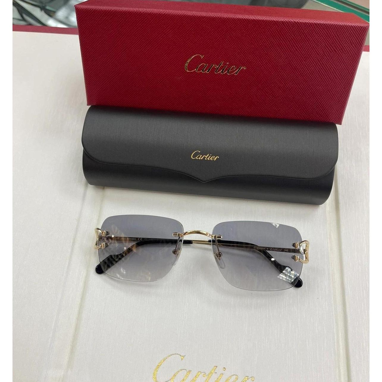 Cartier Sunglasses     - everydesigner