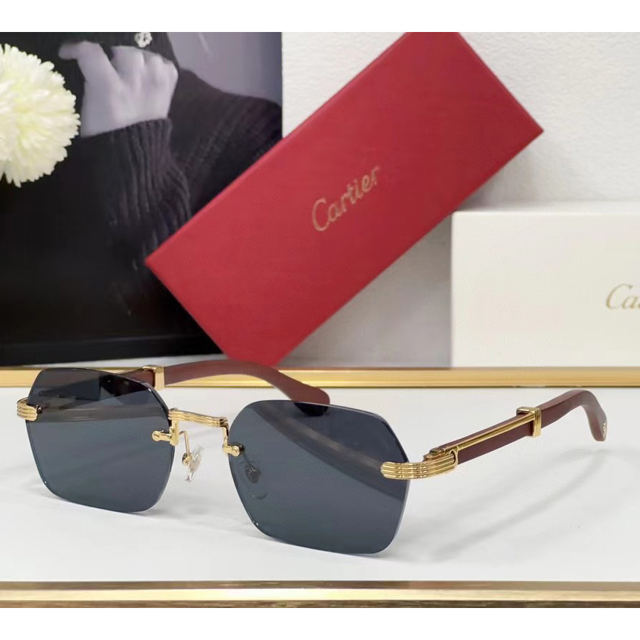 Cartier Sunglasses     - everydesigner