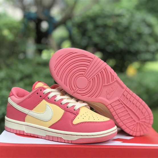 Nike SB Dunk Low Sneakers          DH9765-200 - everydesigner