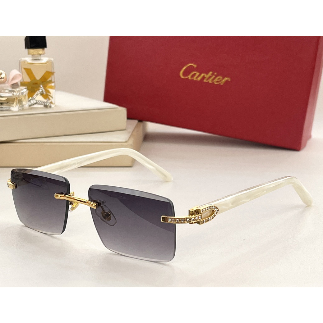 Cartier Sunglasses    CT00521 - everydesigner