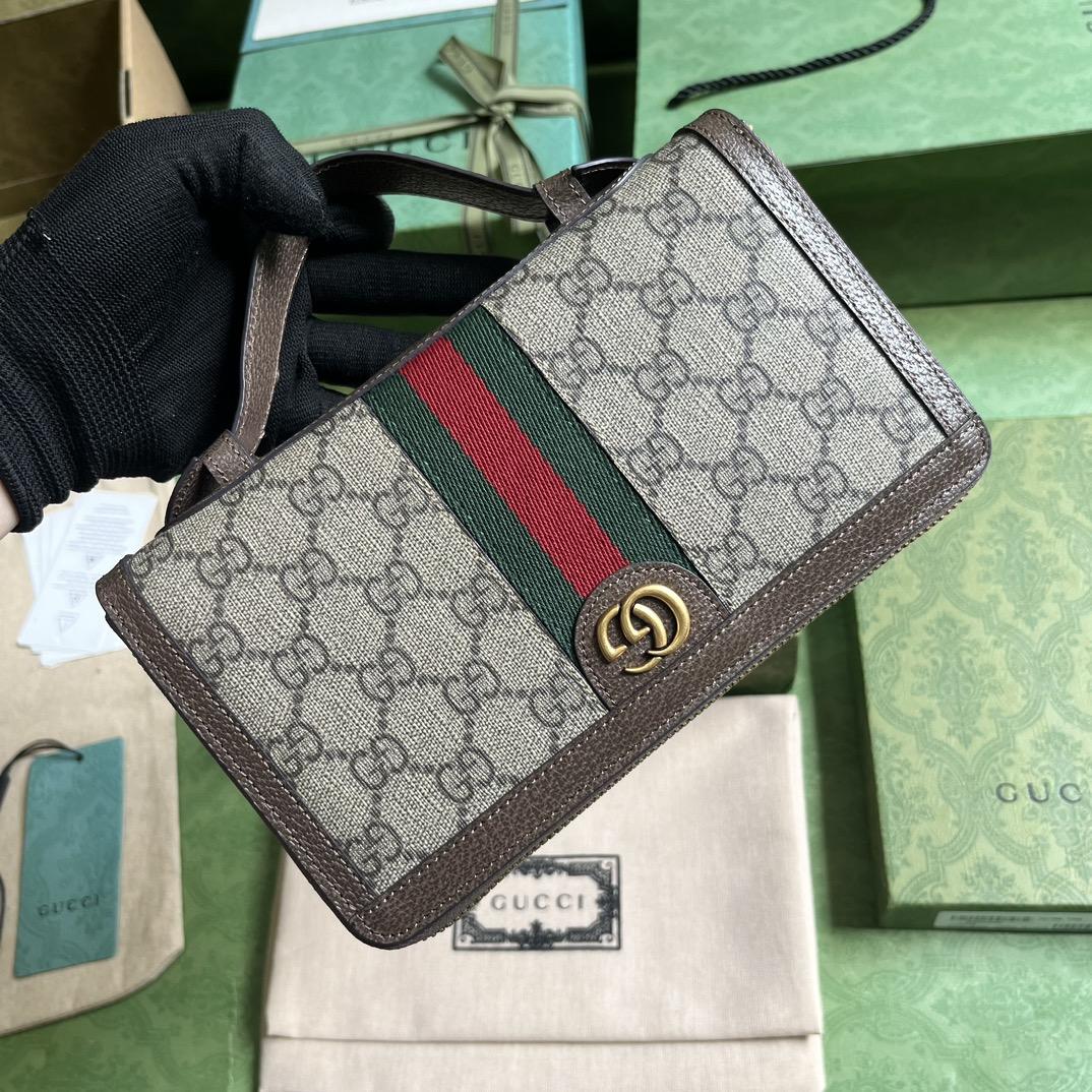 Gucci Ophidia GG Travel Case (21-13-4cm) - everydesigner