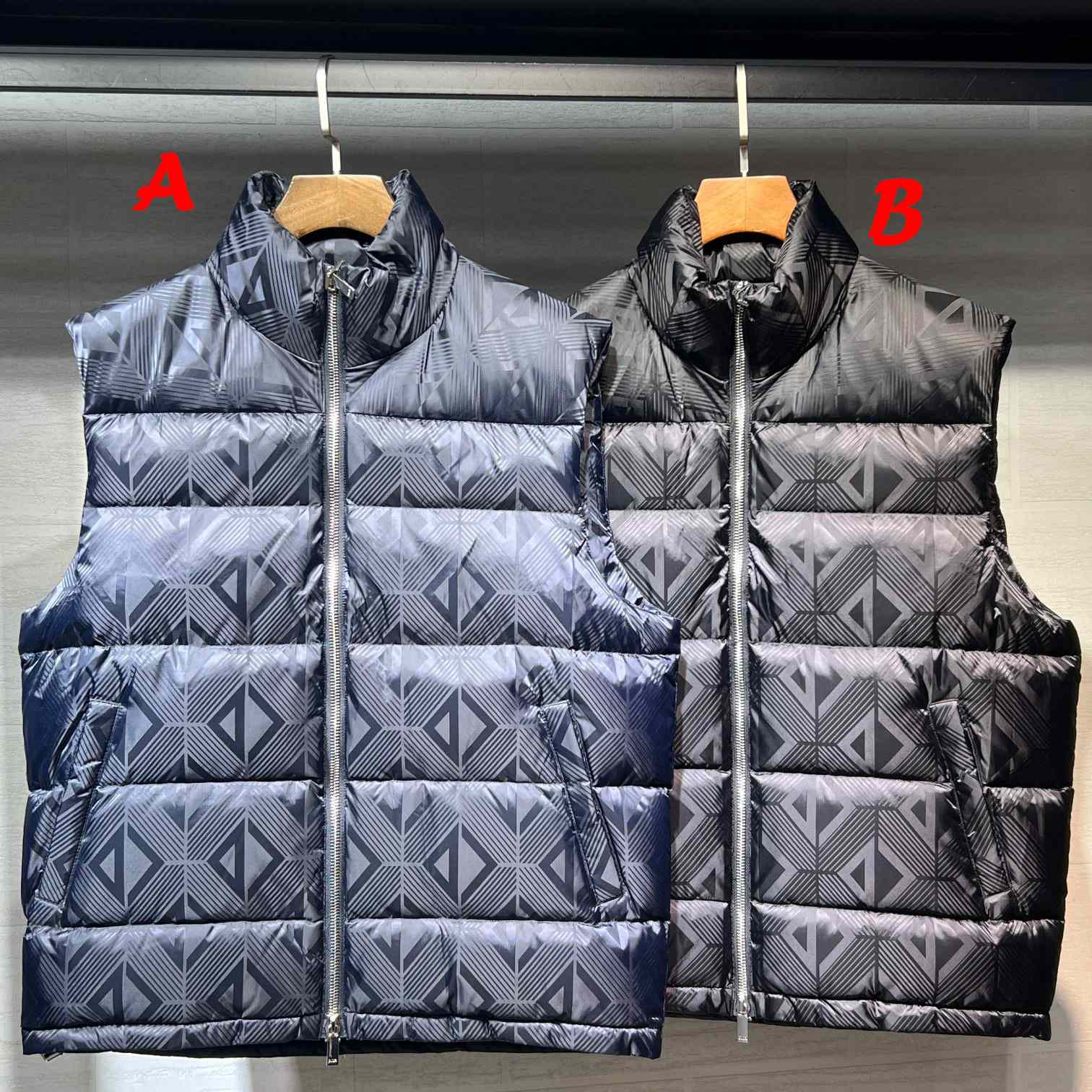 Dior Sleeveless Down Jacket - everydesigner