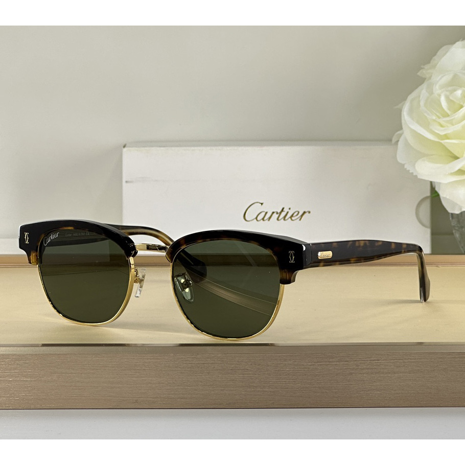 Cartier D-Frame Tortoiseshell Acetate Sunglasses   CT0366 - everydesigner