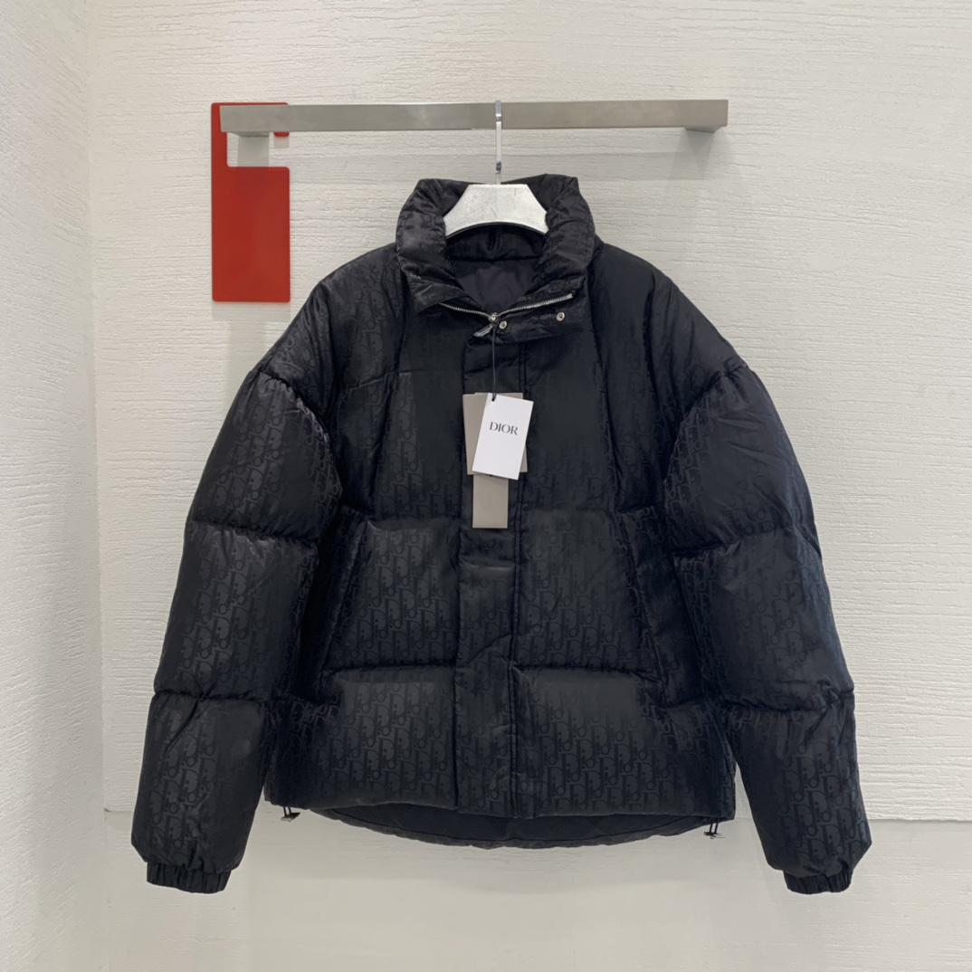 Dior Oblique Down Jacket - everydesigner