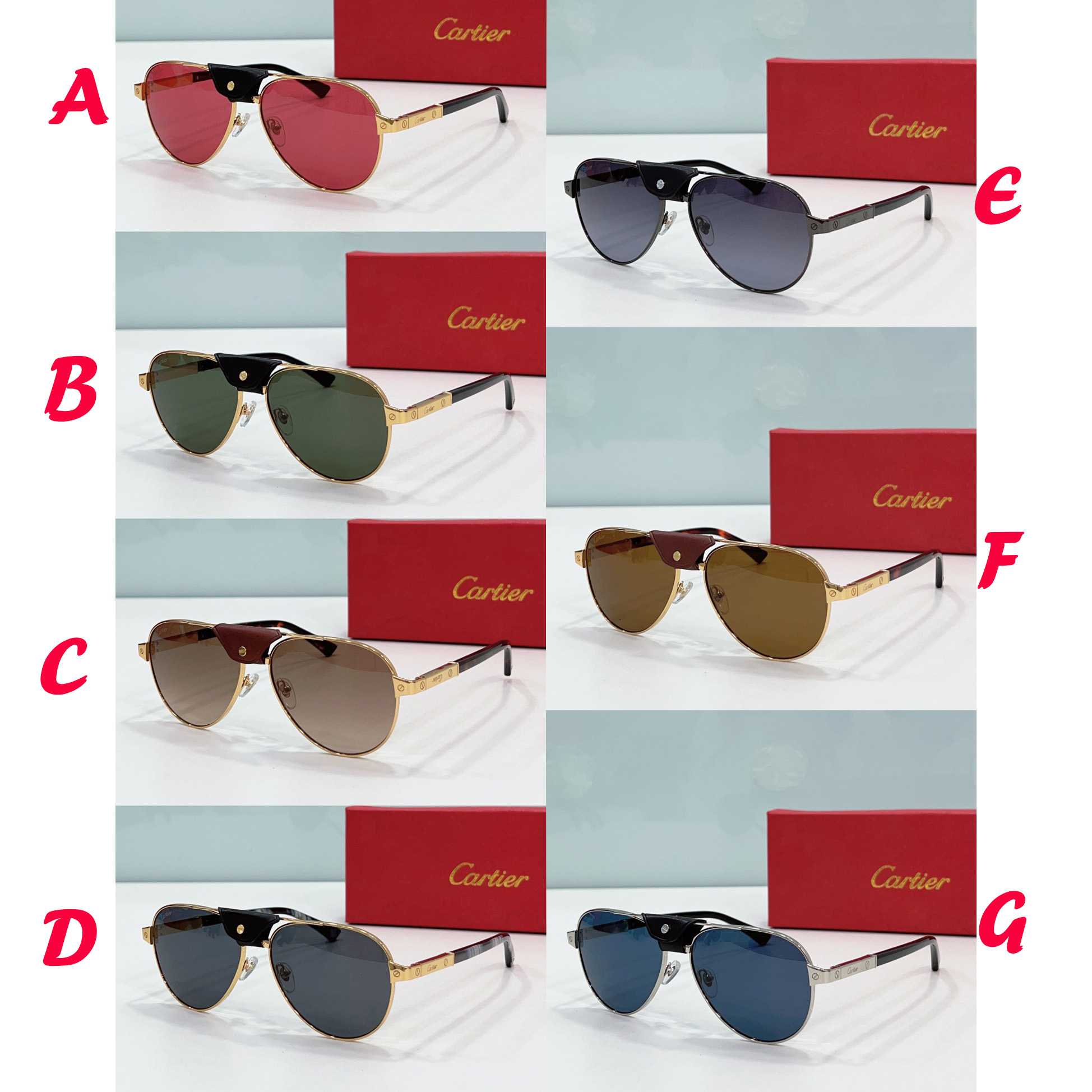 Cartier Sunglasses     - everydesigner