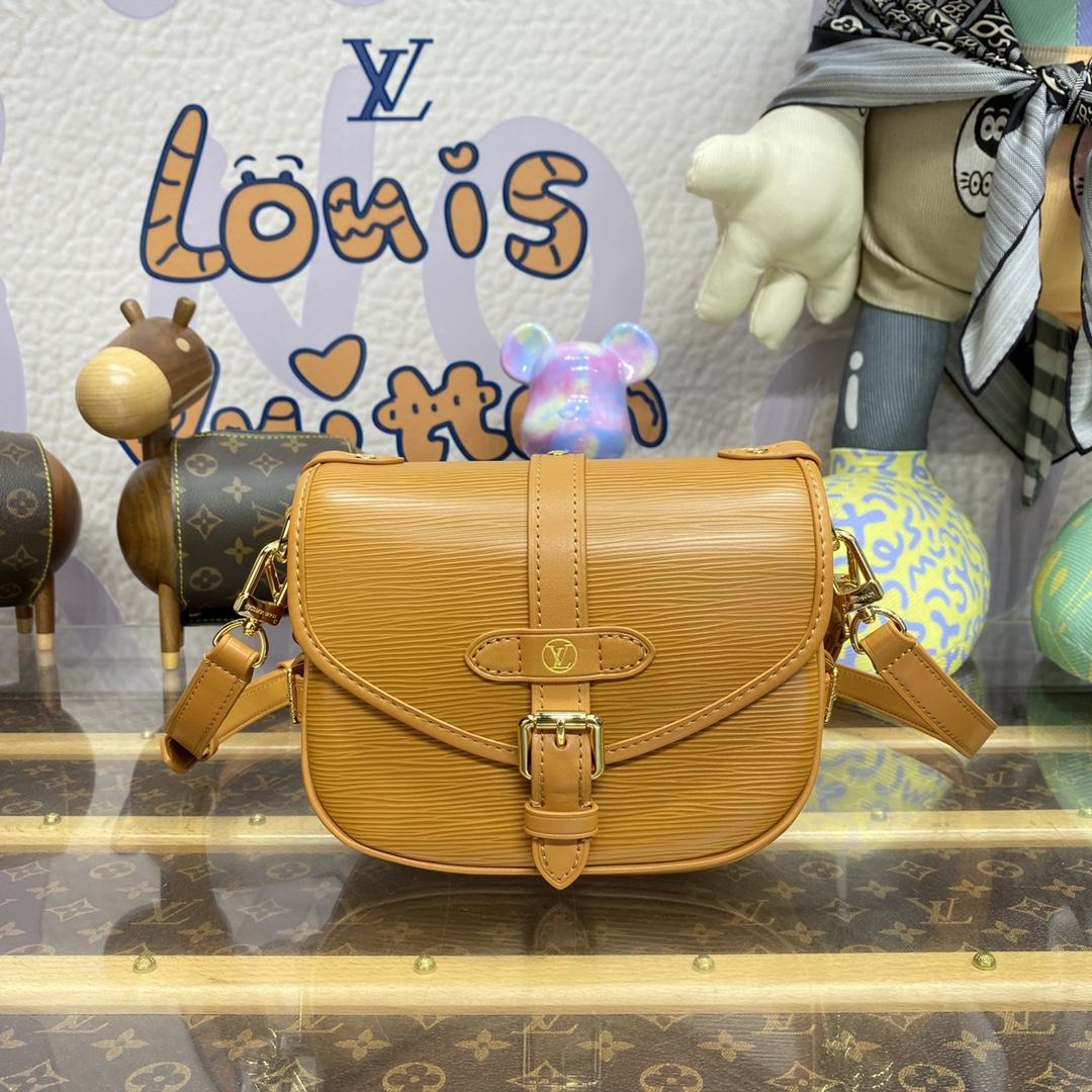 Louis Vuitton Saumur BB  (20-16-7.5CM)   M23471 - everydesigner