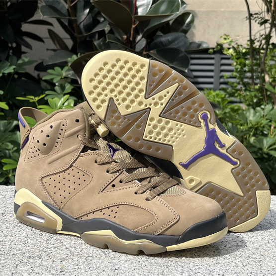 Air Jordan 6 Gore-Tex “Brown Kelp”  Sneaker               FD1643-300 - everydesigner