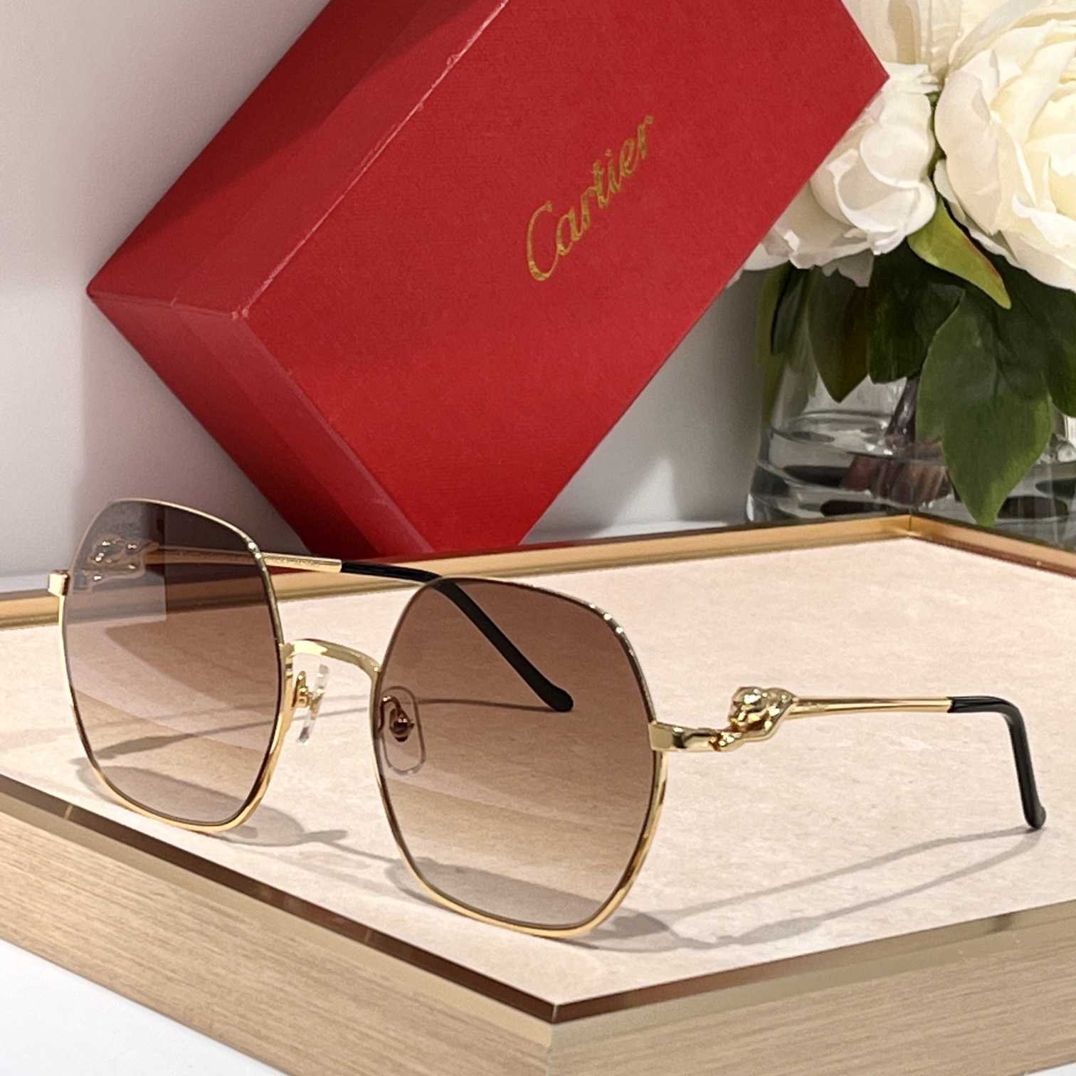 Cartier CT0267 Sunglasses - everydesigner