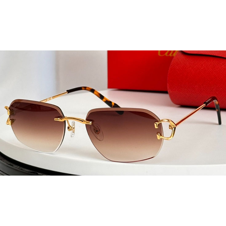 Cartier Sunglasses - everydesigner