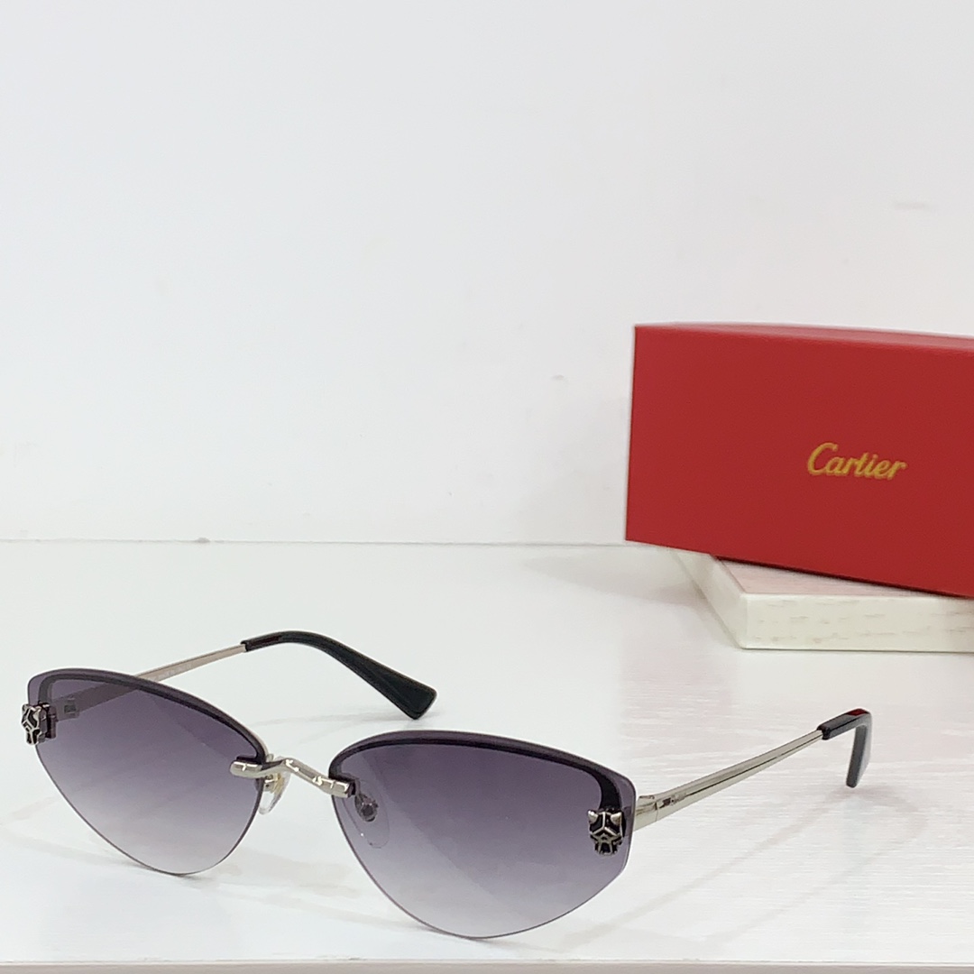 Cartier CT0431S Sunglasses - everydesigner