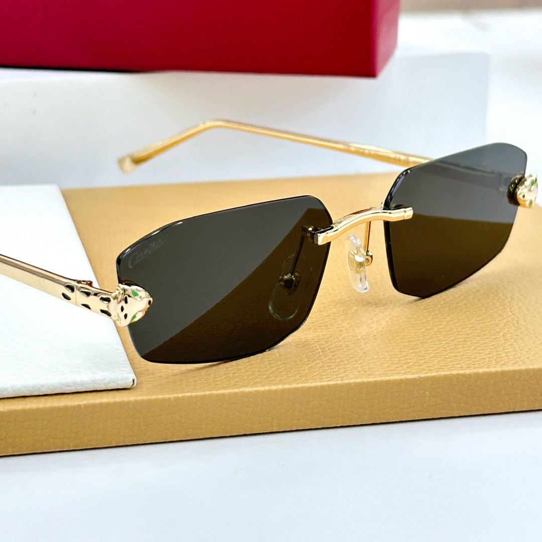 Cartier Geometric Frame Sunglasses   CT0474S  - everydesigner