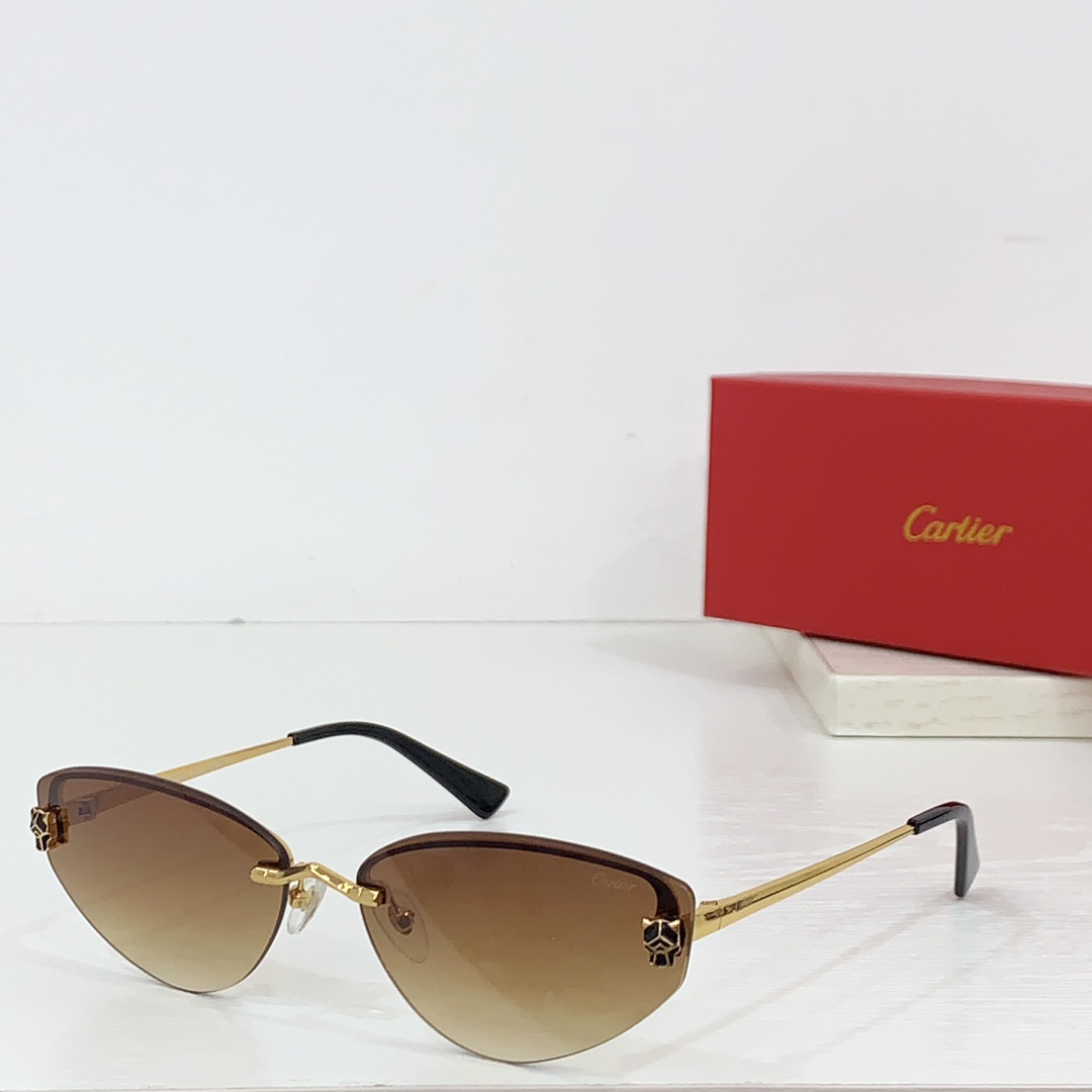 Cartier CT0431S Sunglasses - everydesigner