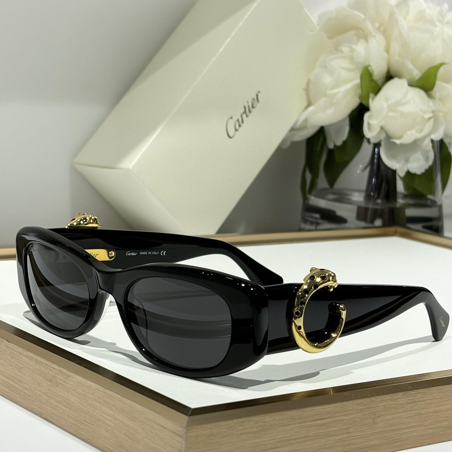 Cartier CT0472S Sunglasses    - everydesigner