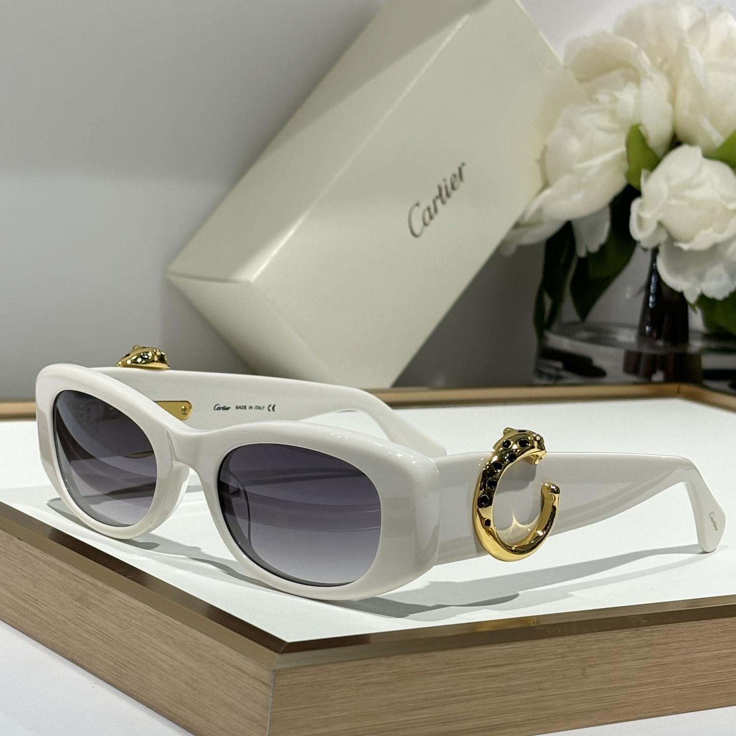 Cartier CT0472S Sunglasses    - everydesigner
