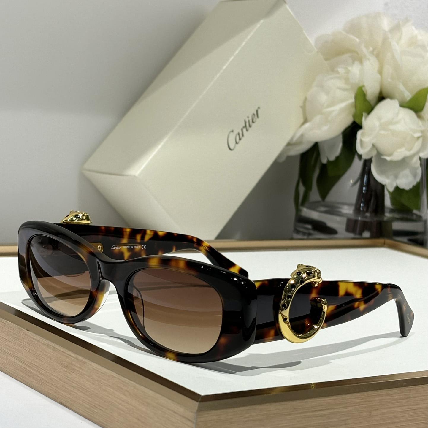 Cartier CT0472S Sunglasses    - everydesigner
