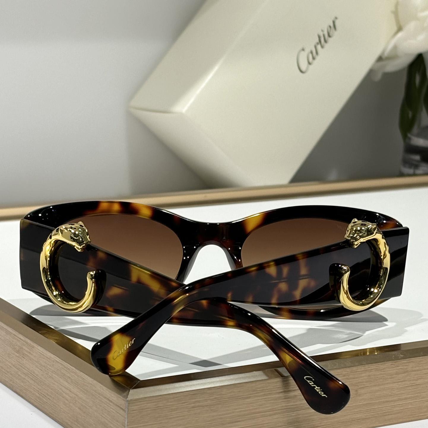 Cartier CT0472S Sunglasses    - everydesigner