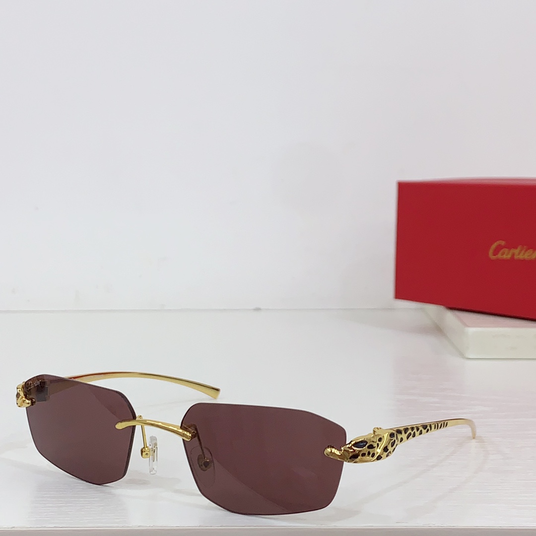 Cartier Geometric-frame Sunglasses   CT0474S - everydesigner