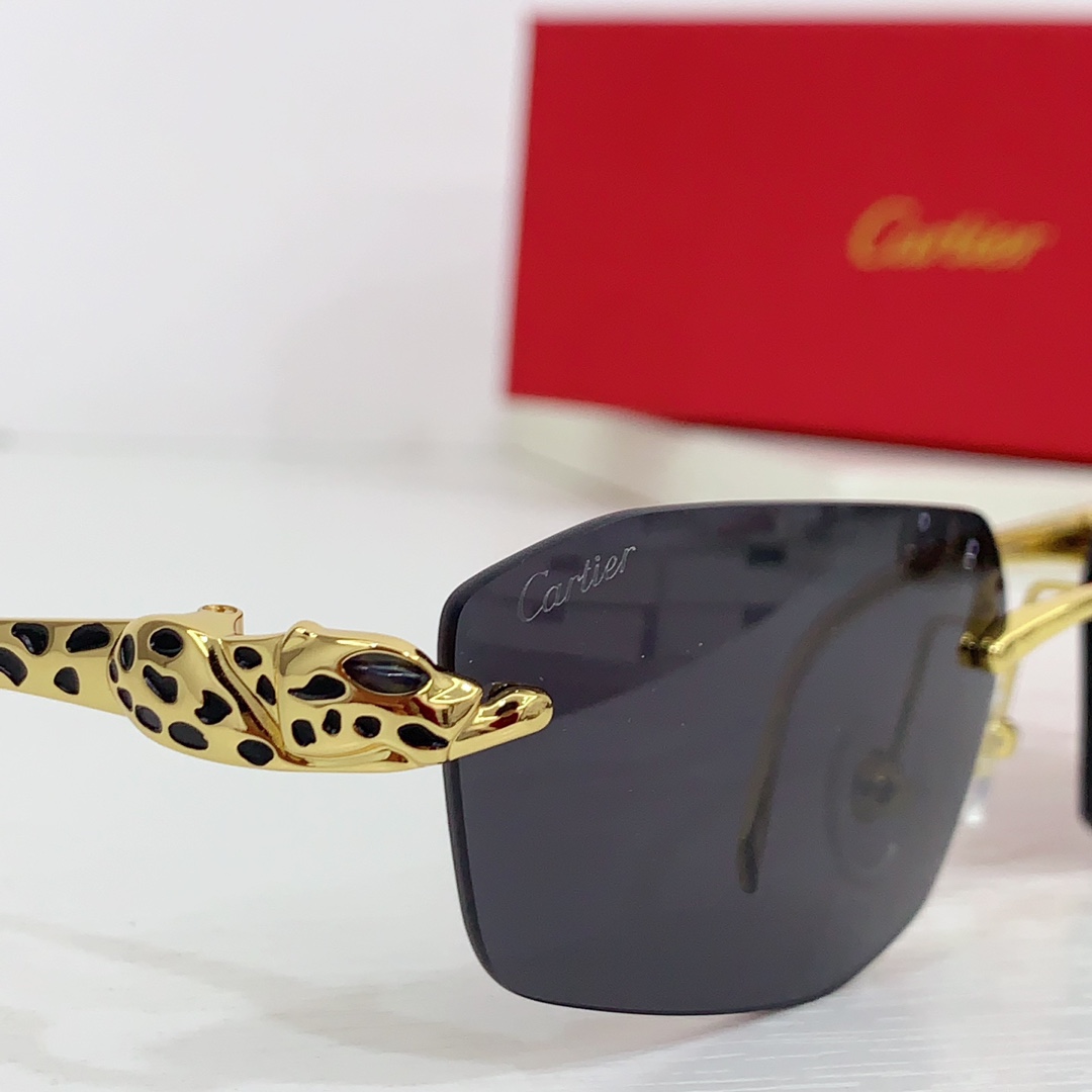 Cartier Geometric-frame Sunglasses   CT0474S - everydesigner