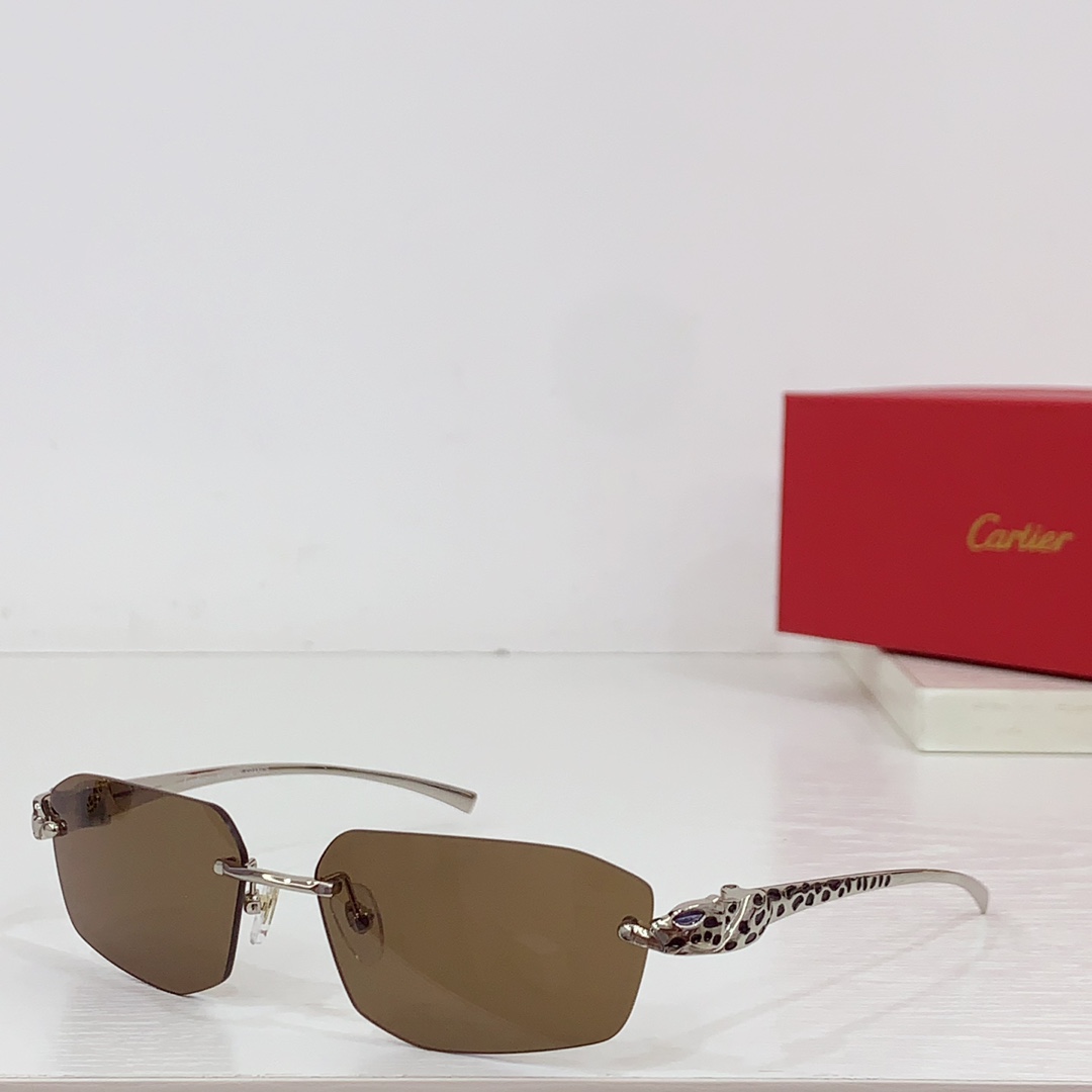 Cartier Geometric-frame Sunglasses   CT0474S - everydesigner