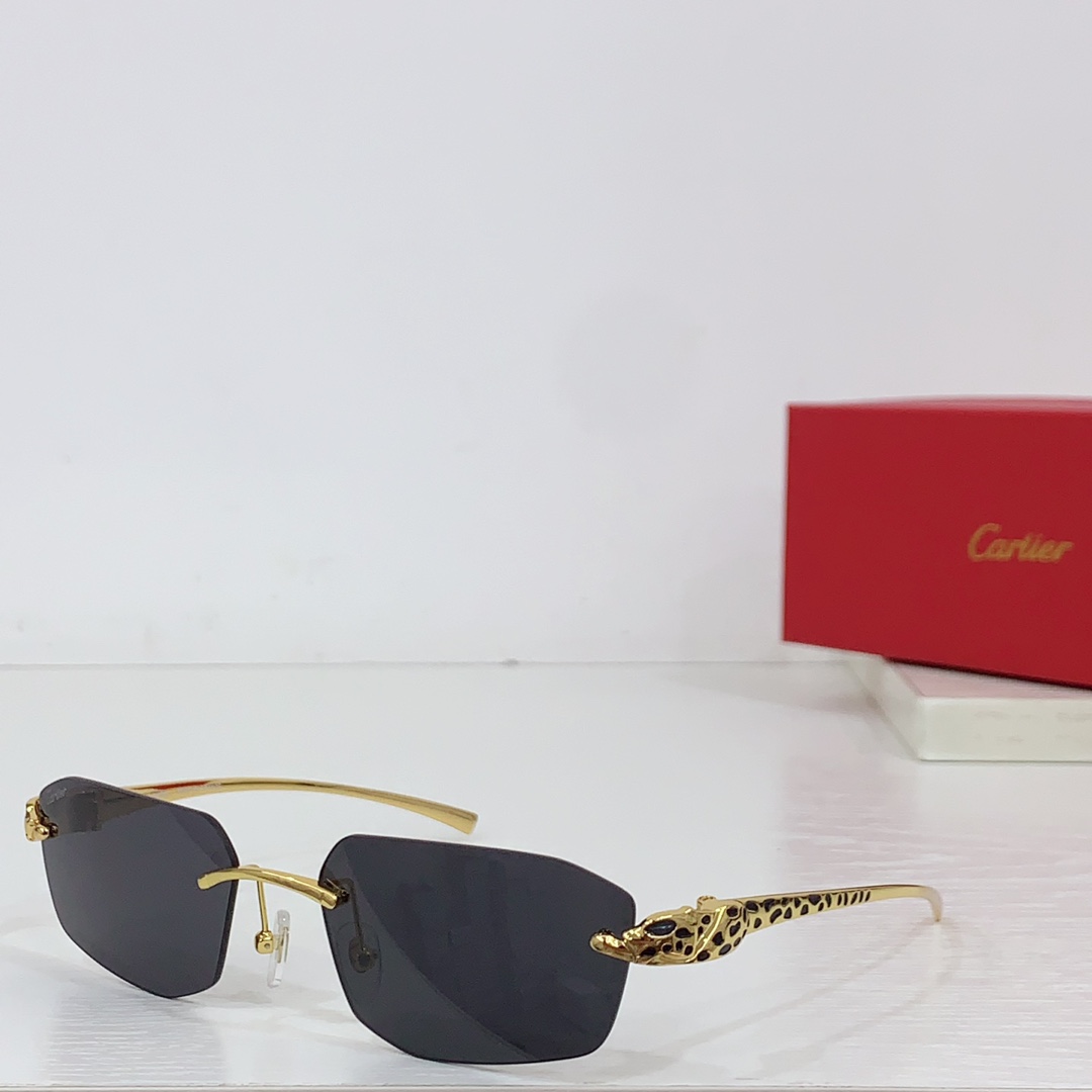 Cartier Geometric-frame Sunglasses   CT0474S - everydesigner