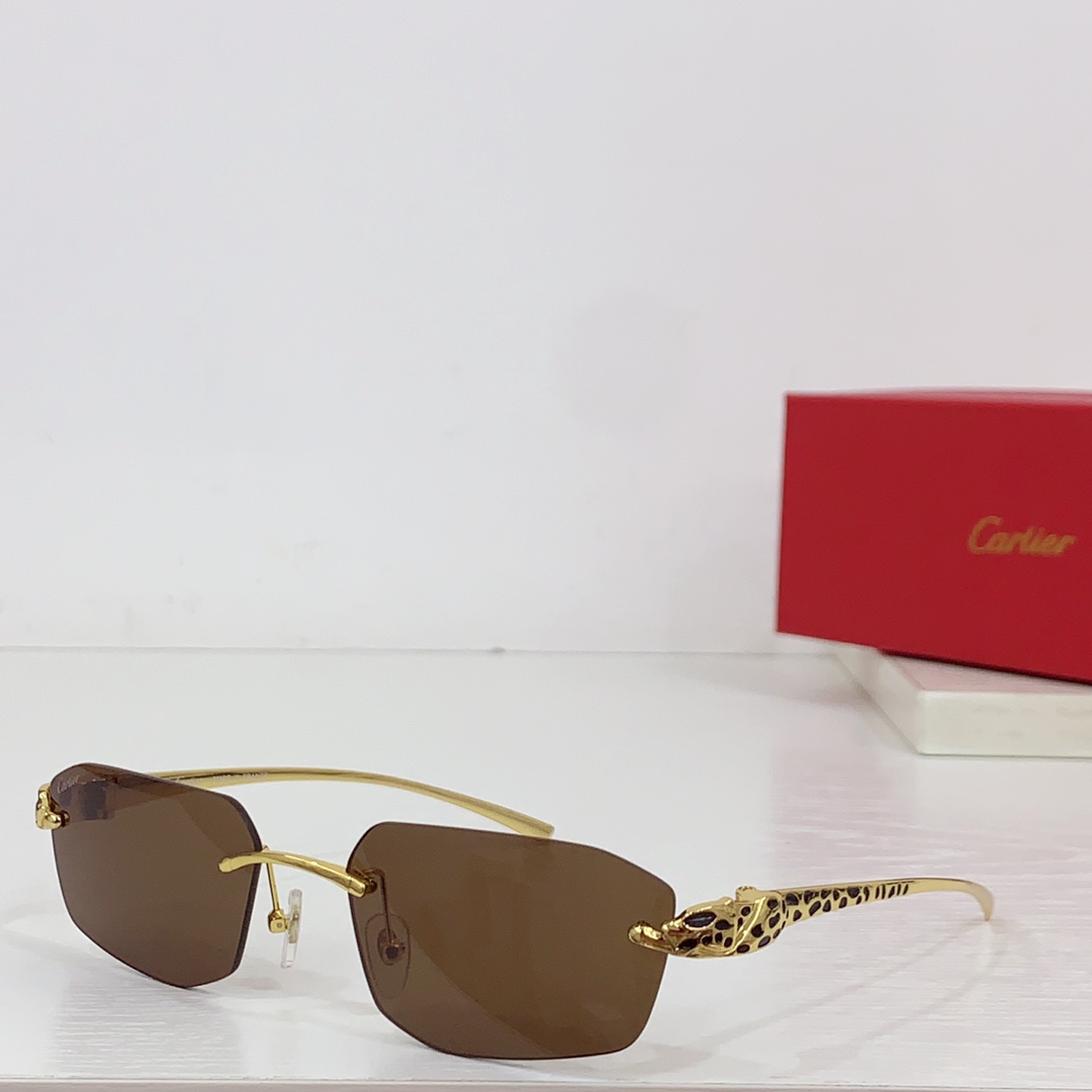 Cartier Geometric-frame Sunglasses   CT0474S - everydesigner