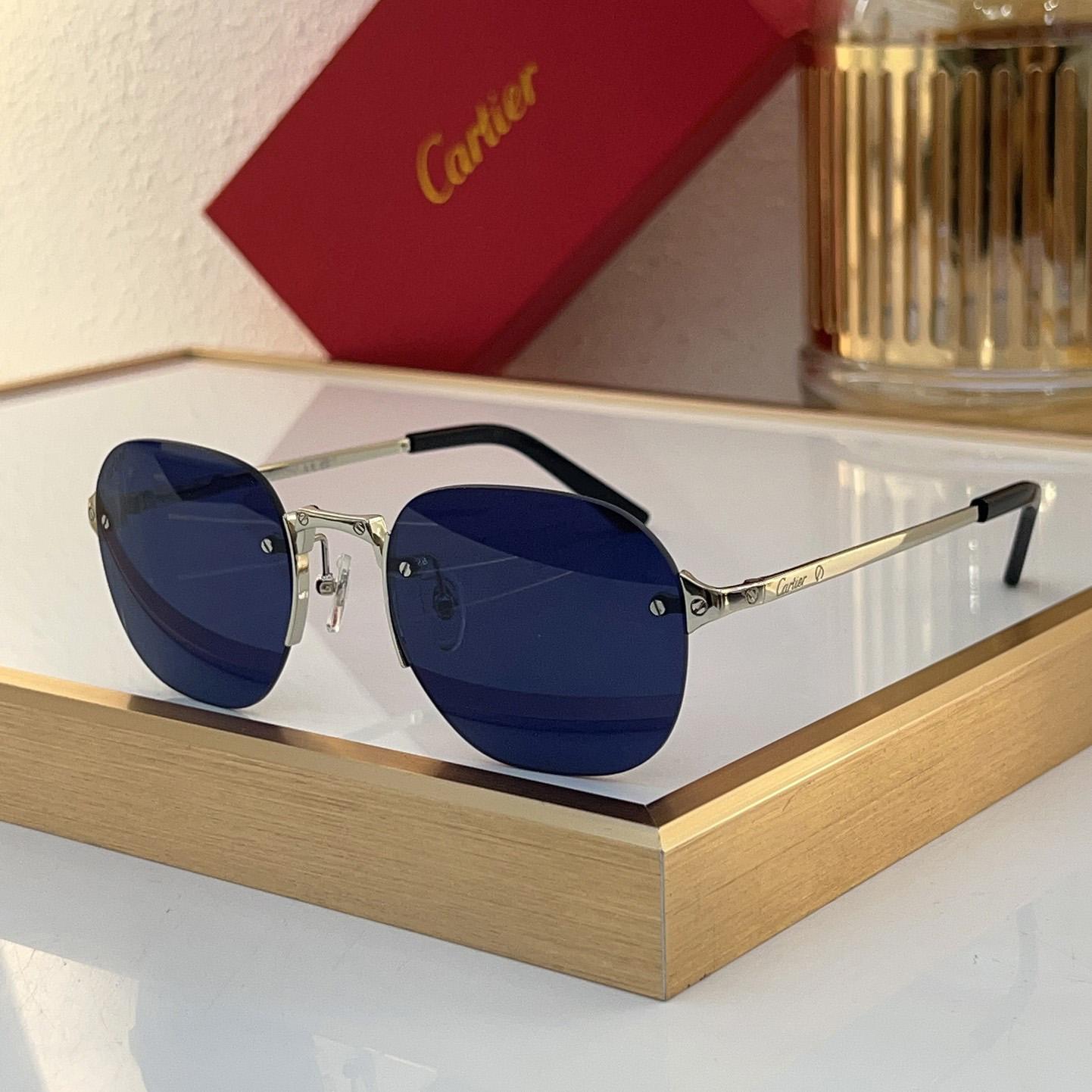 Cartier CT0459S Sunglasses    - everydesigner