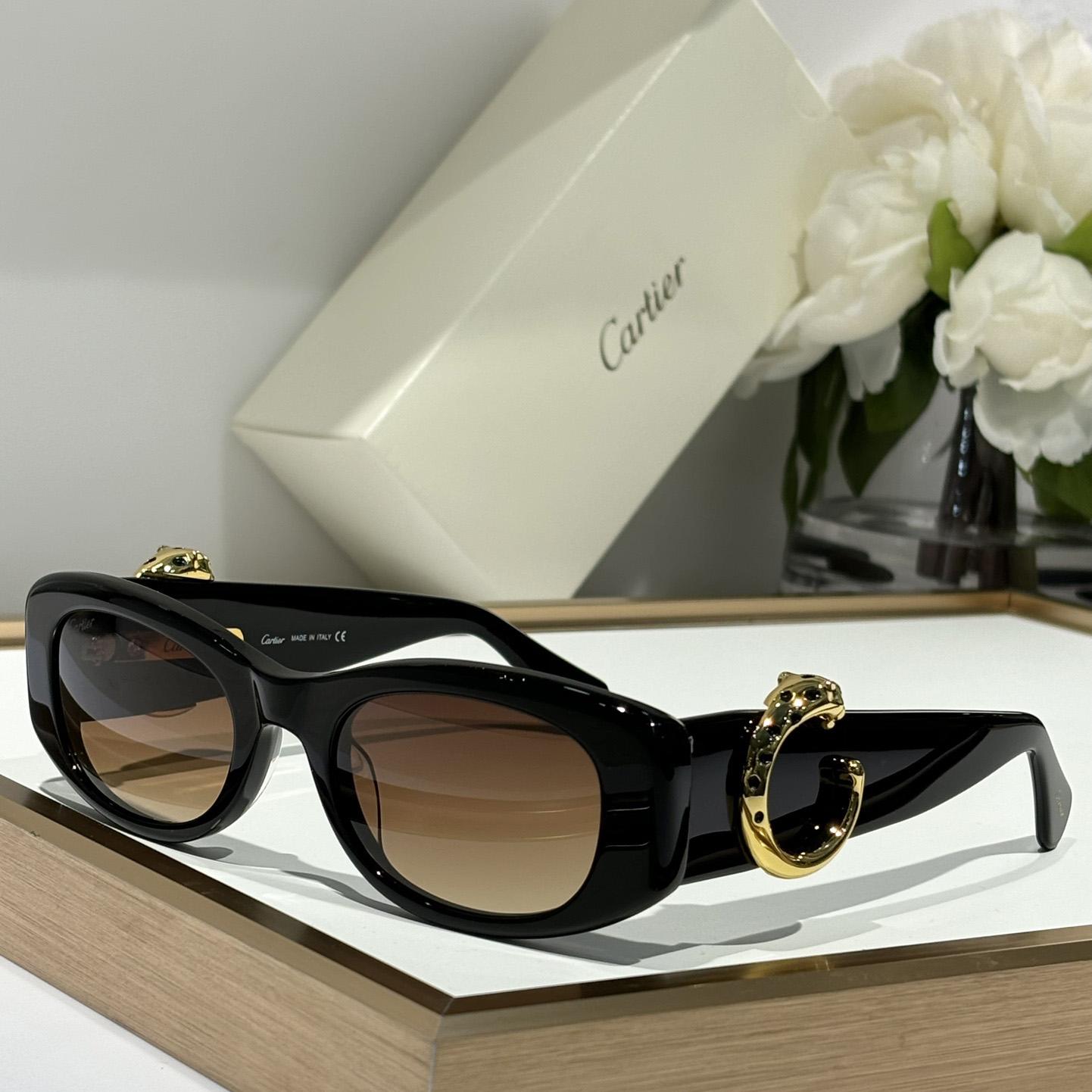 Cartier CT0472S Sunglasses    - everydesigner