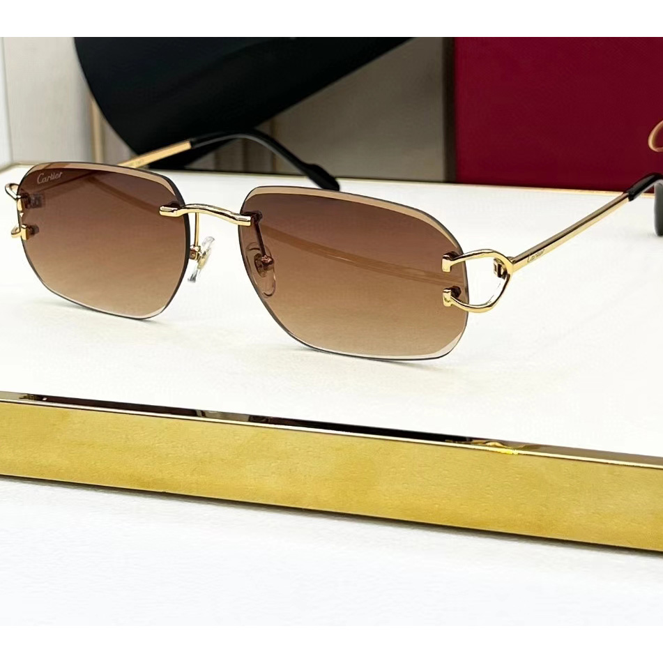 Cartier Sunglasses - everydesigner