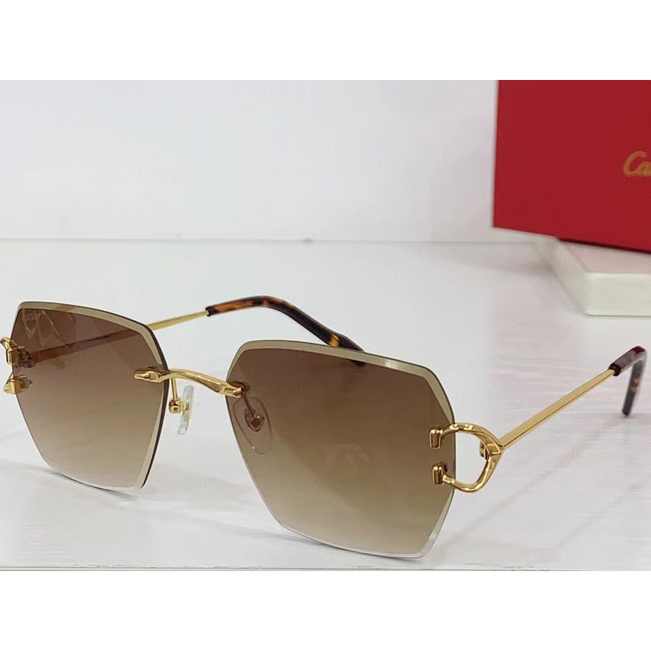 Cartier Sunglasses - everydesigner