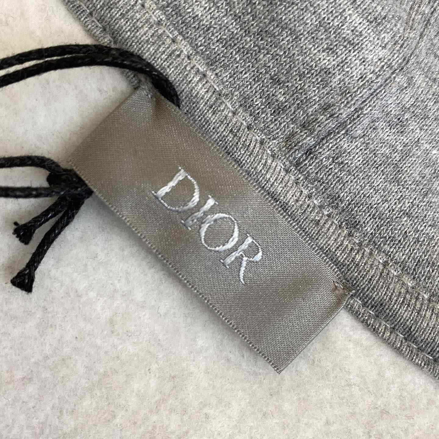 Dior CD Icon Hooded Sweatshirt - everydesigner